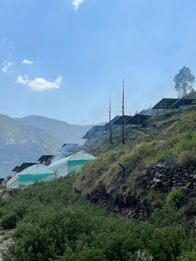 Rows of solar tables along a green hillside beside polyhouses at the pilot site, under a clear sky